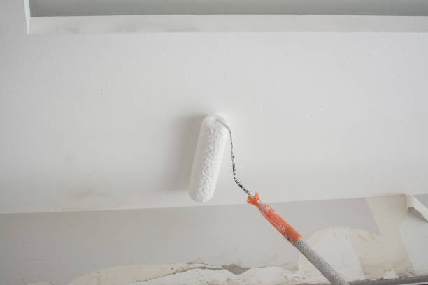 istock painting a white gypsum plaster ceiling with paint roller 1167291174