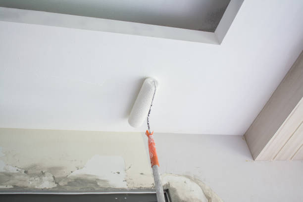 istock painting a white gypsum plaster ceiling with paint roller 1167291181