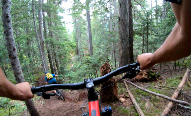istock Male mountain biker follows trail through forest 1167294644