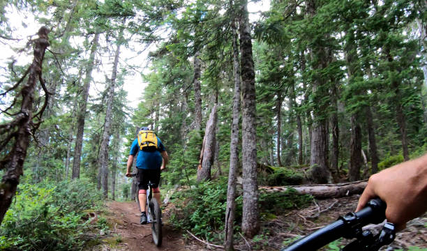 istock Male mountain biker follows trail through forest 1167294664