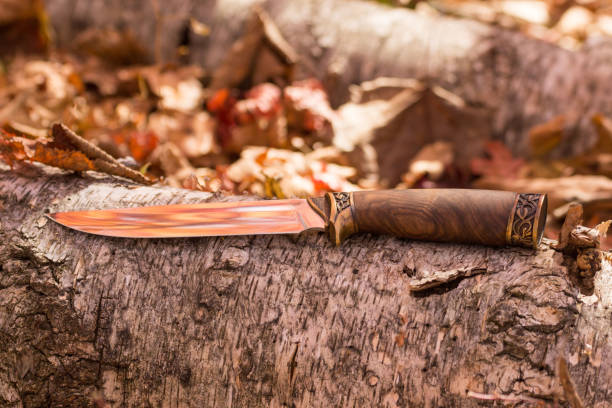 istock A hunting knife on a birch log in the autumn forest 1167303434