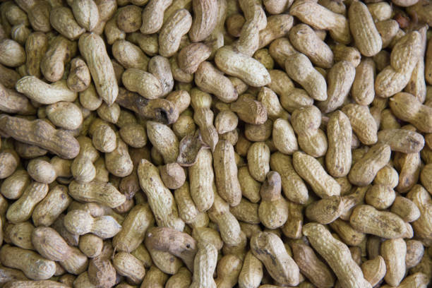 istock peanut in a shell texture. food background of peanuts 1167304600