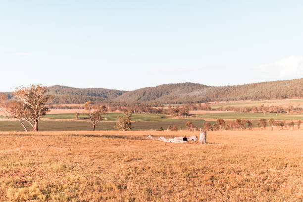 istock Landscape of outback Australia 1167307524
