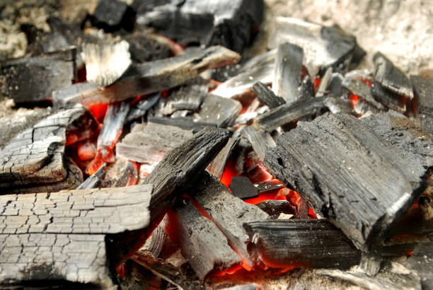 istock Wood charcoal is heat energy. 1167308276