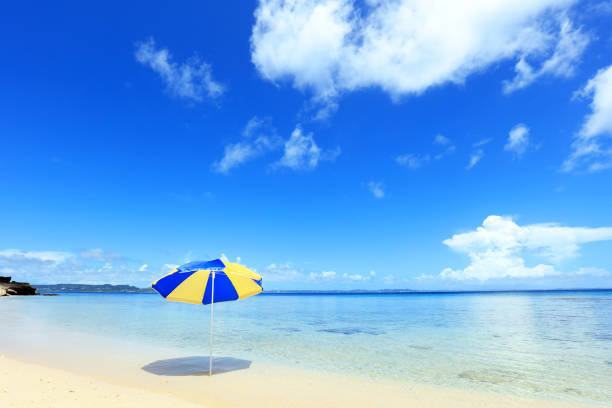istock Tropical beach and sea. 1167308304