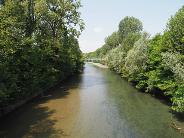 istock River Dora in Parco Dora park in Turin 1167310908