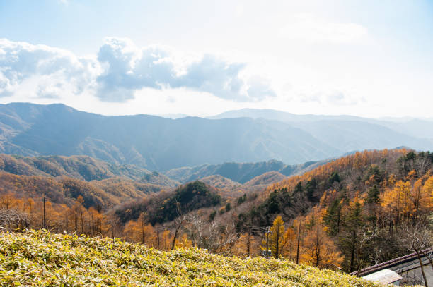 秋の季節に美しい南台山と中禅寺湖の航空写真、日光、栃木、日本 - nature environmental conservation red japanese maple ストックフォトと画像