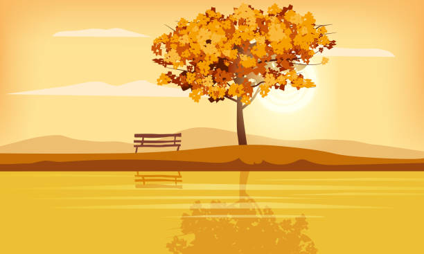 illustrations, cliparts, dessins animés et icônes de paysage d'automne paysage rural paysage extérieur jaune jaune brun brun feuilles feuillage automne coucher du soleil panorama d'humeur de lamune banc de réflexion de lac. baner d'affiche isolé de vecteur - tree reflection lake landscape