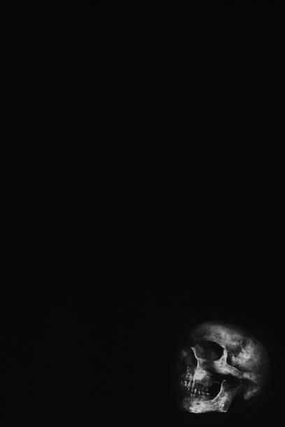 istock black and white of humen skull on dark background 1167312455