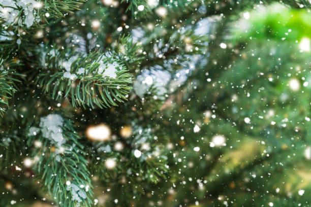 istock Christmas tree and New Year holiday background 1167315790