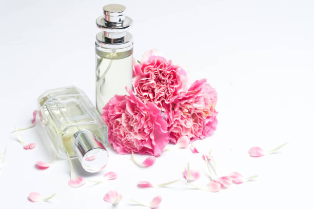 istock Beautiful perfume bottles  and pink carnations on white background 1167316085