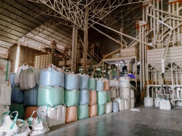 Rice packed in sacks in a rice mill stock photo
