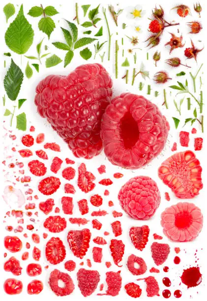 Large collection of raspberry fruit pieces, slices and leaves isolated on white background. Top view. Seamless abstract pattern.
