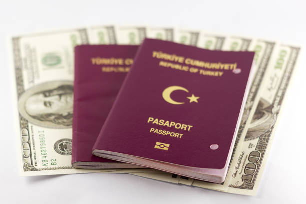 istock Turkish Passport and One US Dollars 1167323877