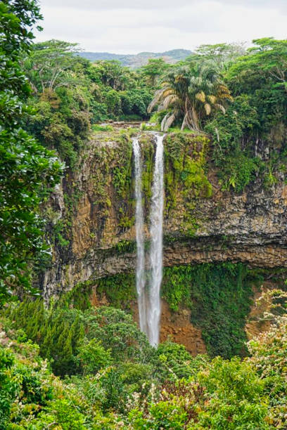 istock a waterfall in the middle of a jungle 1167330460