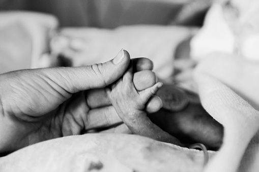 A mother holds the tiny hand of her premature baby in hospital in black and white