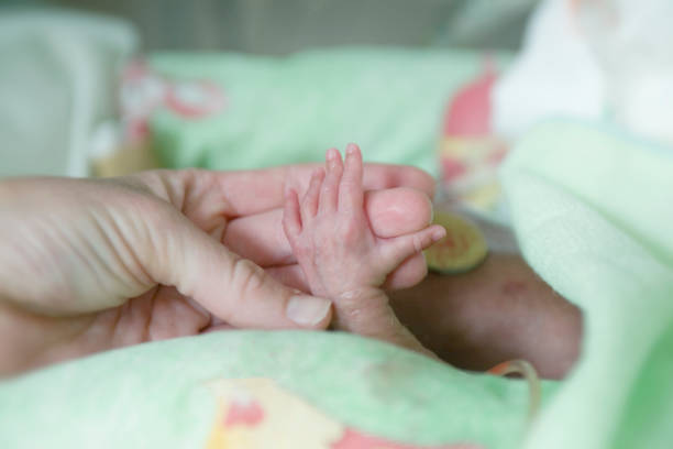 Premature baby holds mothers hand