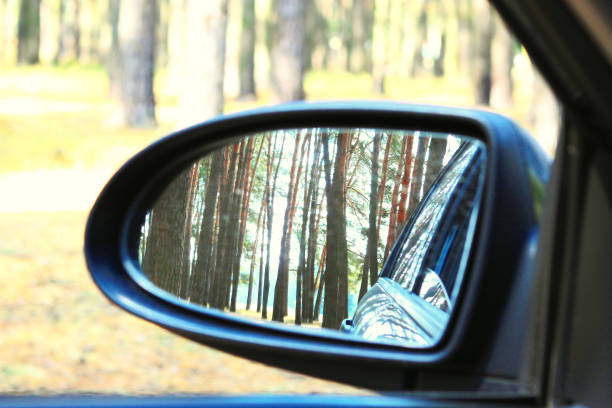 istock Car mirror with image of summer pine forest in reflection 1167335286