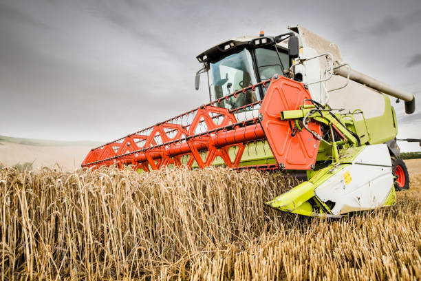 istock combine harvester in action in a beautiful landscape 1167335875