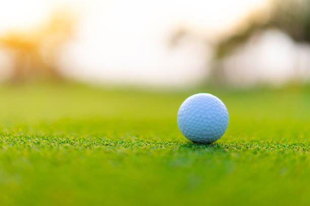 istock golf ball is placed on the green in the evening race. 1167337841