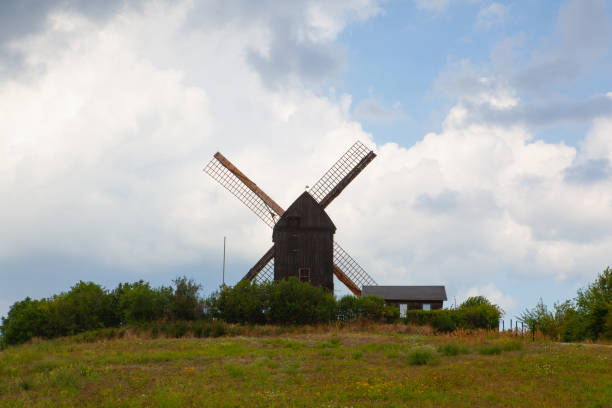 Dew-soaked dandelion parachute ball in front of newly restored old dutch wood shingle covered windmill in rural northern Zealand, Denmark, on a sunny September morning. Fish eyes view.