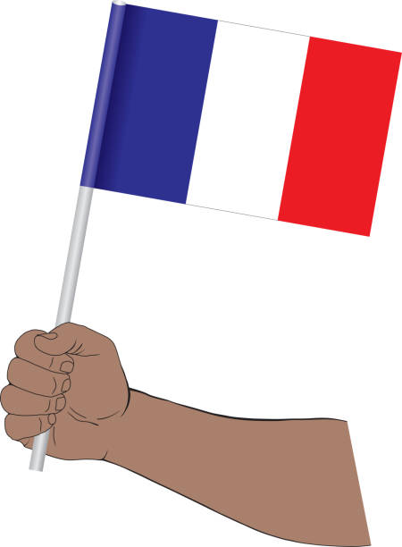 istock Hand holding national flag of France 1167342087