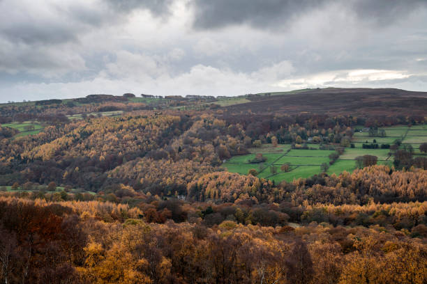 istock Stunning Autumn Fall landscape scene from Surprise View in Peak District in England 1167343191
