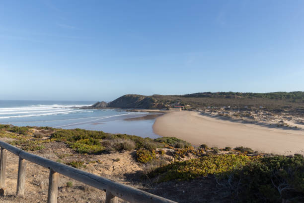 istock Empty sand dunes beach at Portugal 1167344359