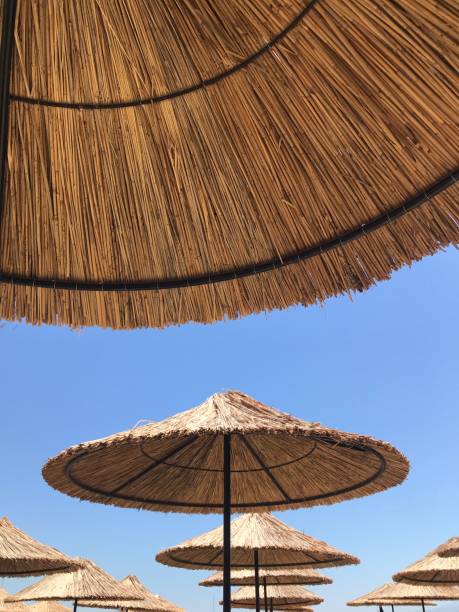 Bamboo sun umbrella against blue sky