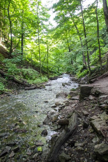 istock Toronto Niagara summer 2019 1167349243
