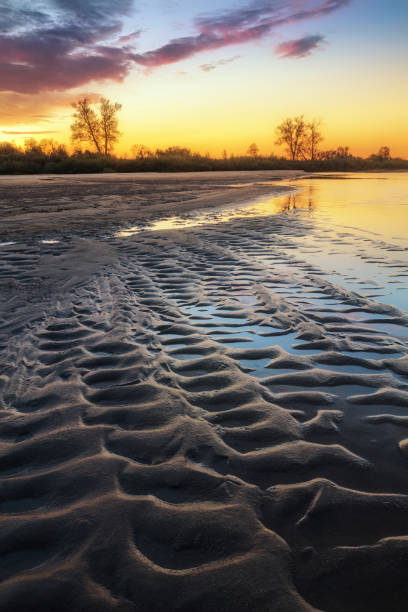 istock beautiful sandy river bank at sunset 1167351470