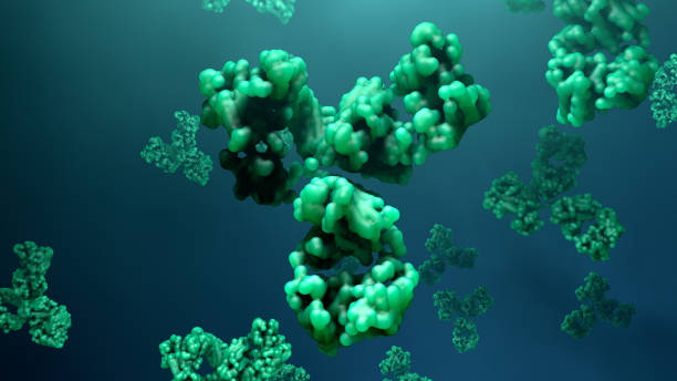 항체는 미생물로부터 보호합니다. - macrophage human immune system cell biology 뉴스 사진 이미지