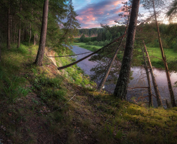 istock iew from the hill on a misty field and the river at sunset 1167355227
