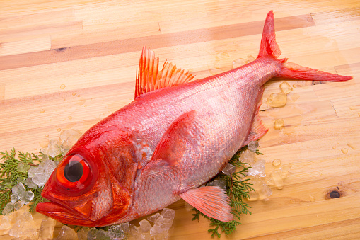 Top view of variety of fresh fish and seafood on ice