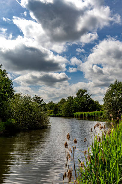 istock River flowing between the trees in a park from Ghent 1167355484