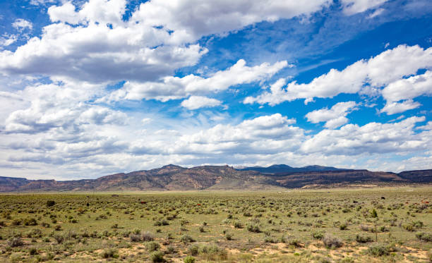 istock Desert landscape, US blue sky with clouds, spring day 1167356251