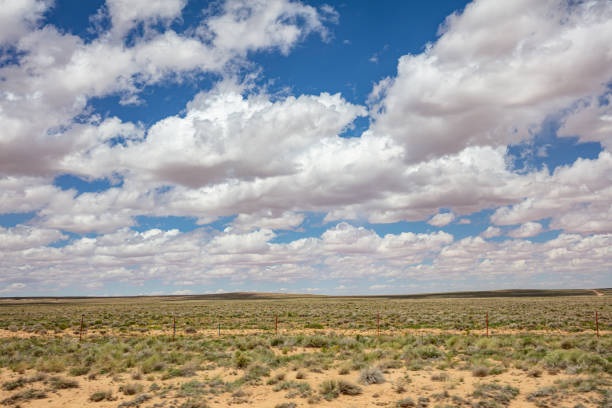 istock Desert landscape, US blue sky with clouds, spring day 1167356254