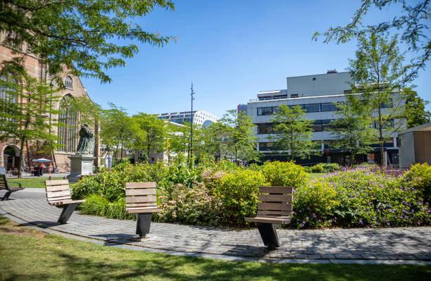 Residential district in Rotterdam, Netherlands. Trees and grass in a sunny spring day.