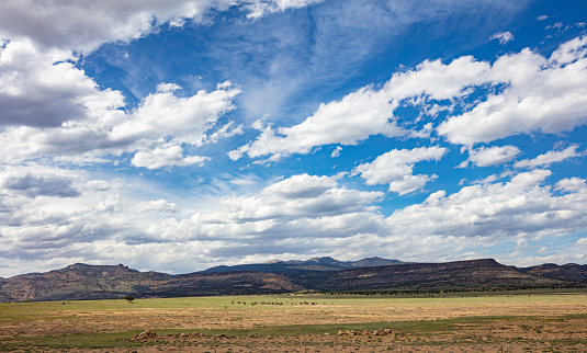 Desert landscape, US. Blue sky with clouds in a spring day