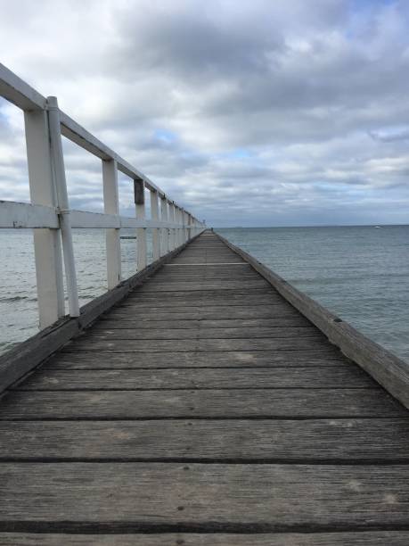 istock Boardwalk to the Sea 1167358345