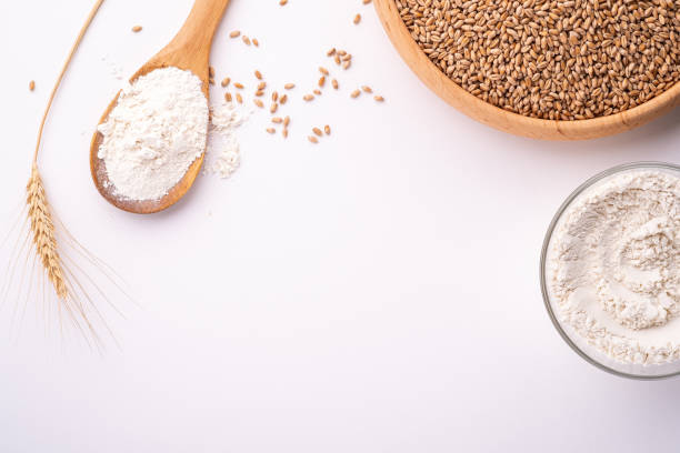 wheat seeds grains in wooden bowl, wheat flour in glass bowl, near with flour in spoon spatula with heap of grains and with ear of wheat, top view, flat lay, isolated on white background, copy space - cooking kitchen utensil wood isolated imagens e fotografias de stock