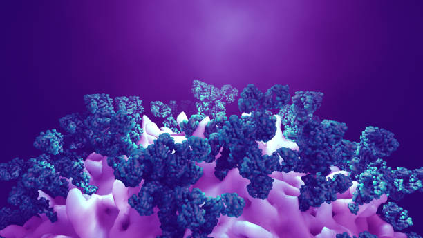 istock Antibodies attack a cancer cell or virus 1167359975