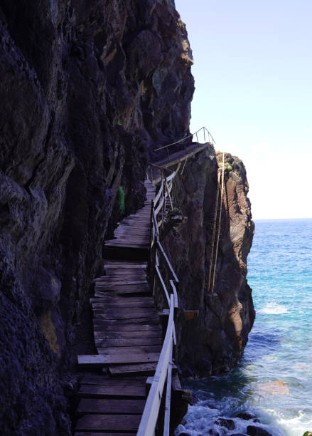 promenade sur la falaise - hassel photos et images de collection