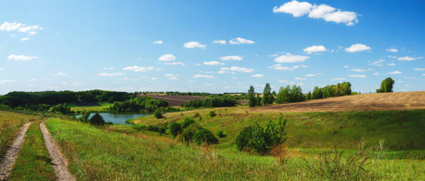 istock Panoramic view of green hills,fields and country road 1167363306