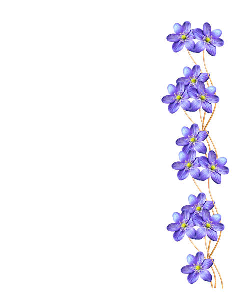 istock Bouquet of flowers 1167364023