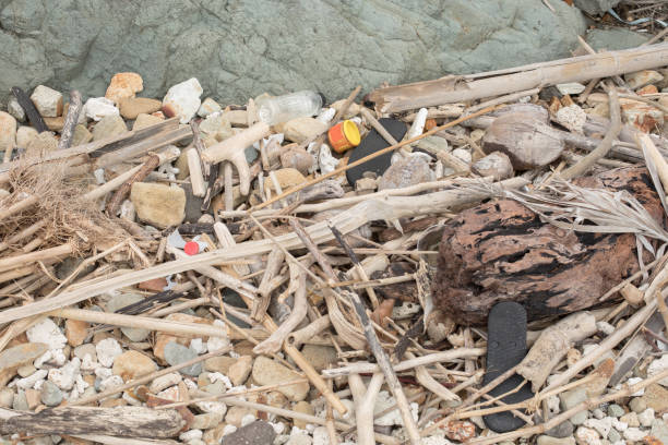 Marine debris washed up on the beach at Sidmouth, Devon, UK.
