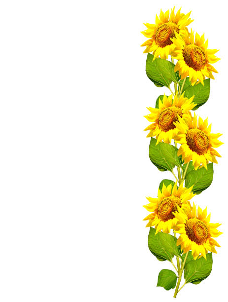 istock Bouquet of flowers 1167364071