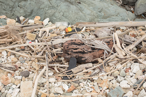 Rubbish, wood and other flotsam washed up on the coastline on a Fiji Island
