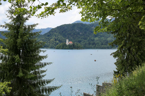 istock Bled lake in slovenia on sunny summer day 1167366314