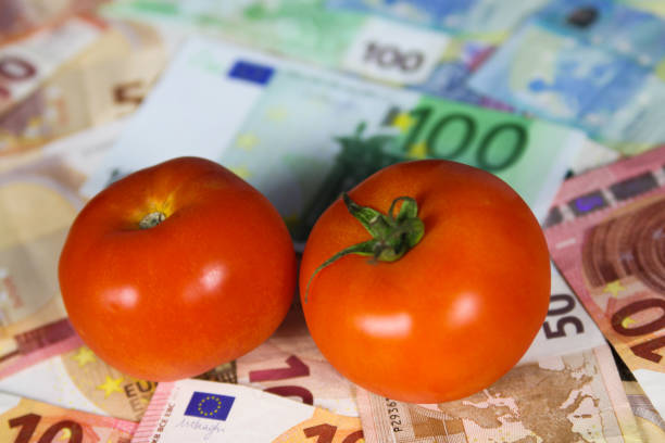 istock Two tomatos on euro paper money bank notes 1167366542